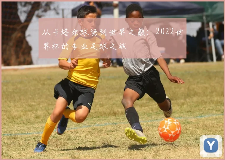 从卡塔尔球场到世界之巅：2022世界杯的专业足球之旅