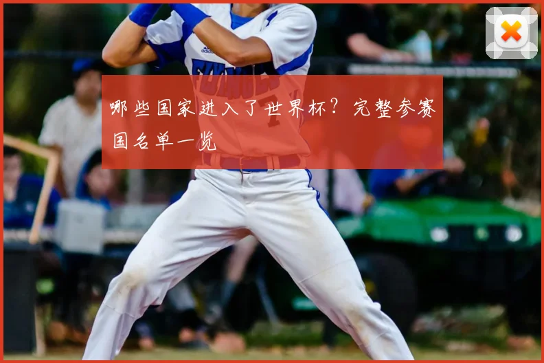 哪些国家进入了世界杯?完整参赛国名单一览