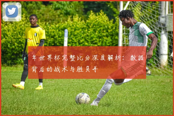 年世界杯完整比分深度解析：数据背后的战术与胜负手