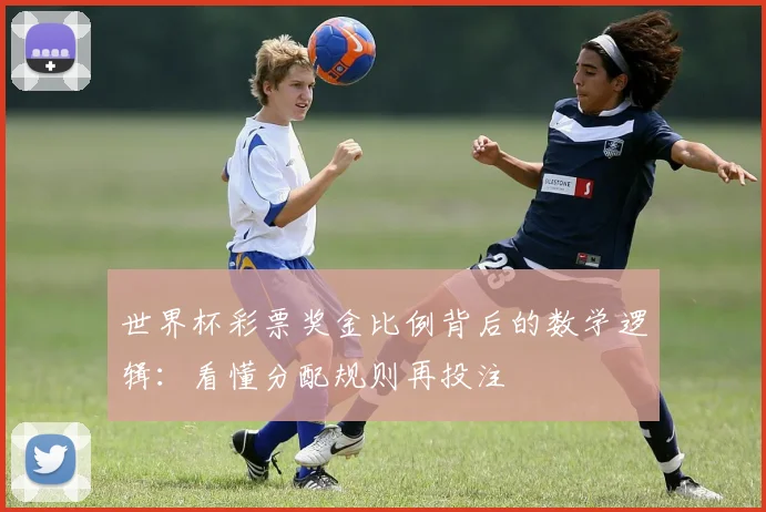 世界杯彩票奖金比例背后的数学逻辑:看懂分配规则再投注