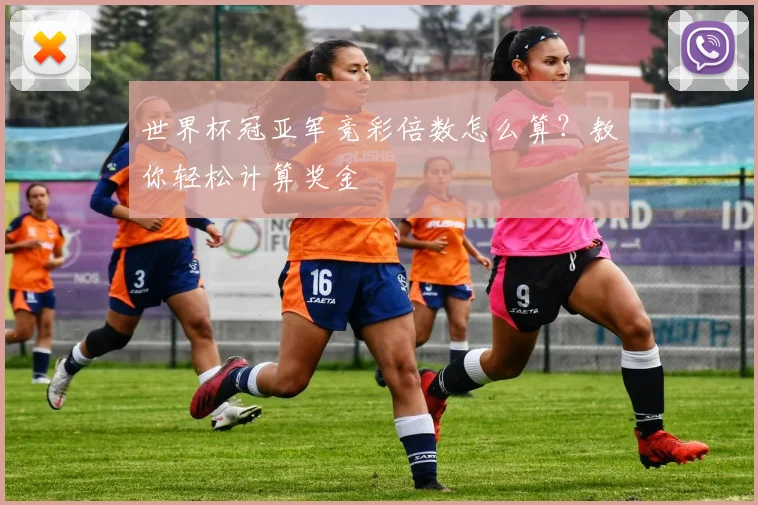 世界杯冠亚军竞彩倍数怎么算?教你轻松计算奖金