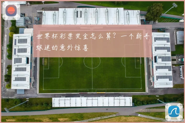 世界杯彩票奖金怎么算?一个新手球迷的意外惊喜