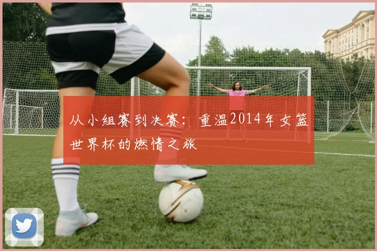 从小组赛到决赛：重温2014年女篮世界杯的燃情之旅
